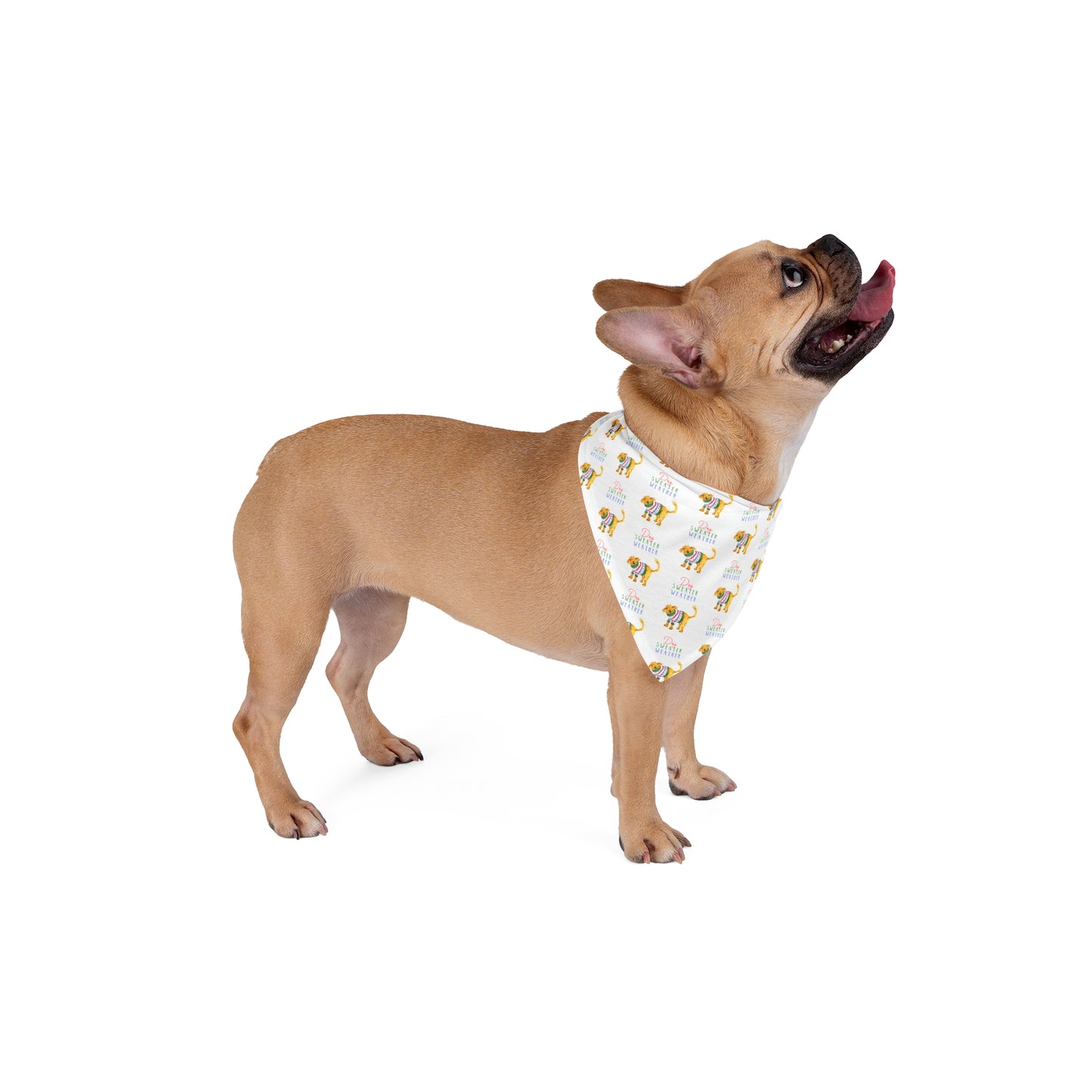 Dog Sweater Weather Pet Bandana