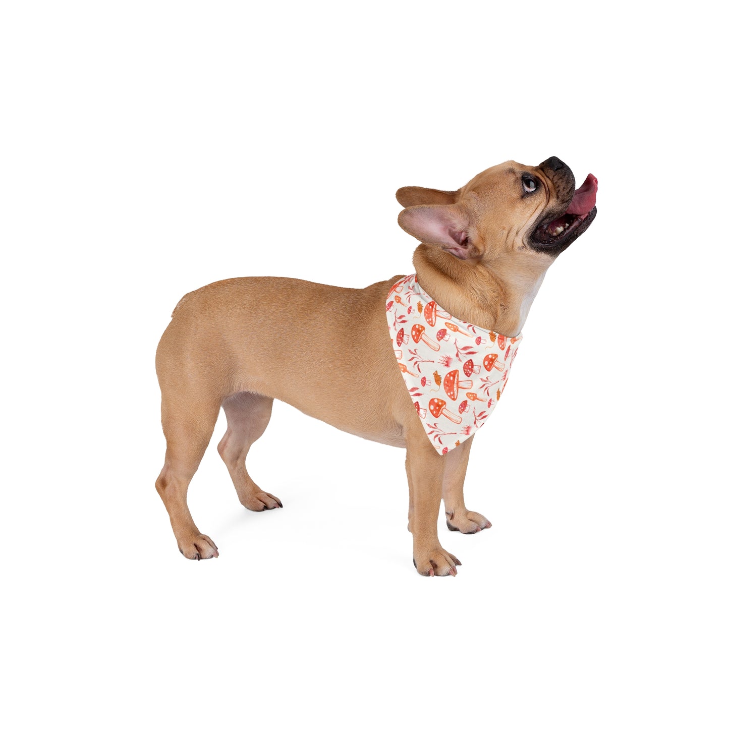 Mouse in a Mushroom Patch Pet Bandana