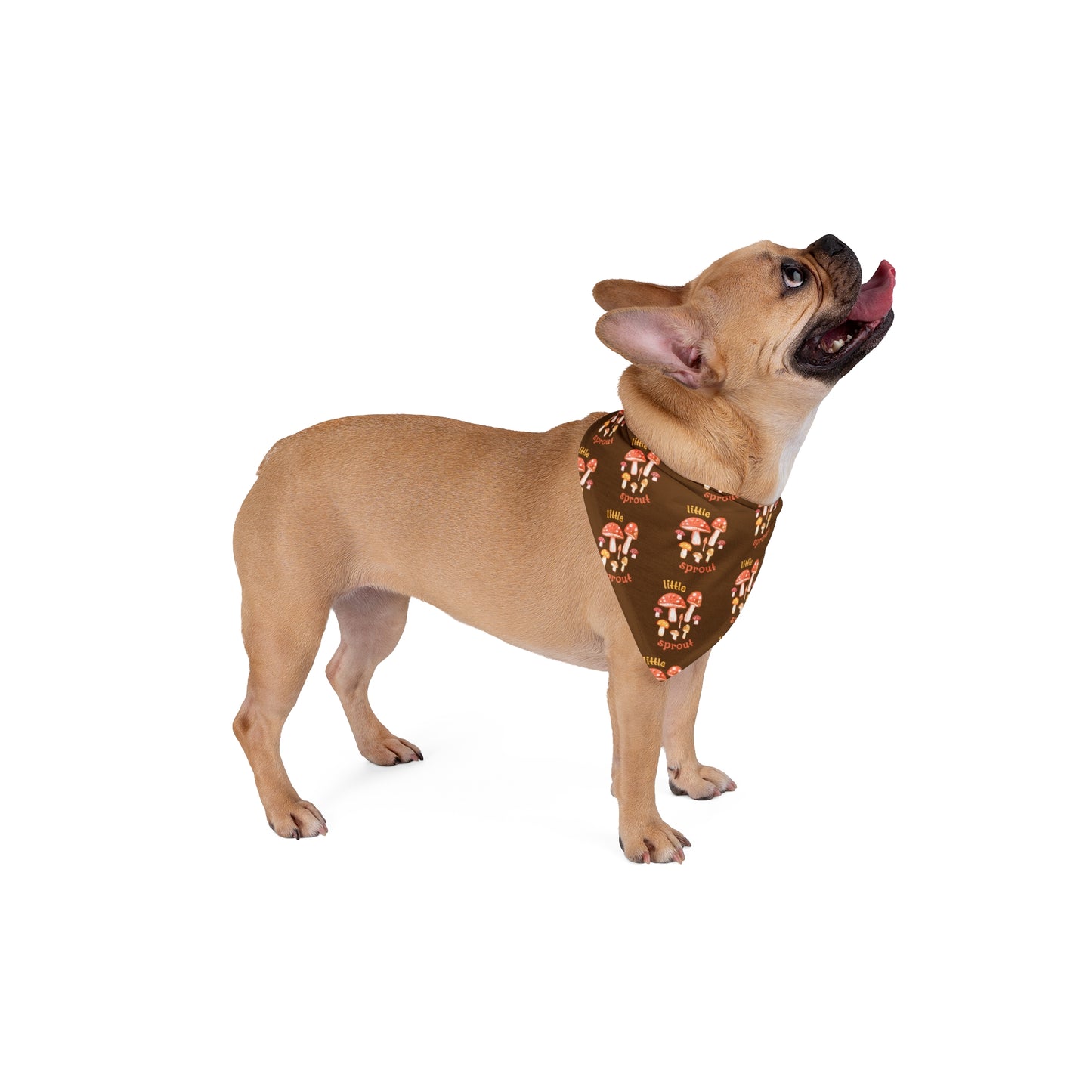 Little Sprout Mushroom Patch Pet Bandana